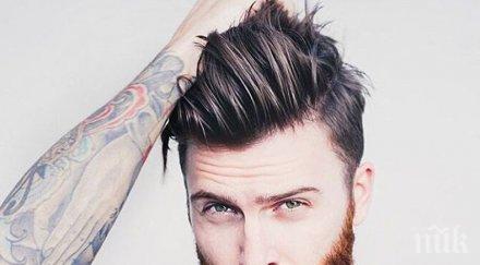 брадата модерна полезна вижте