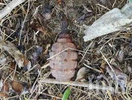 ИЗВЪНРЕДНО: Полиция отцепи жилищен блок в Хасково заради граната