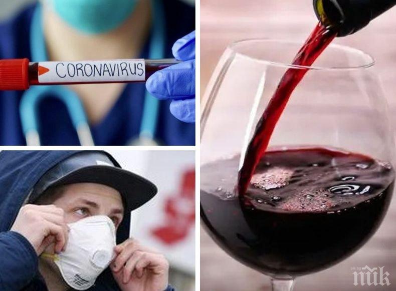 САМО В ПИК: Отива ли си COVID-19? За последните две седмици спадът на регистрираните нови случаи се срина с 33% (ПЪЛНА ХРОНОЛОГИЯ НА ПАНДЕМИЯТА В БЪЛГАРИЯ)