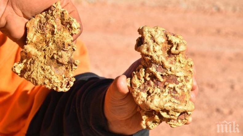 Изровиха 3,5 килограма самородно злато в Австралия