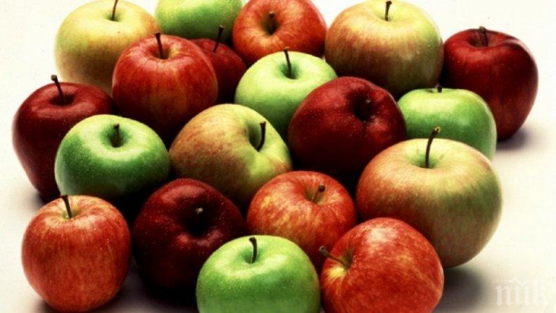 Ябълките са опасни за хора със стомашно чревни заболявания гастрит и