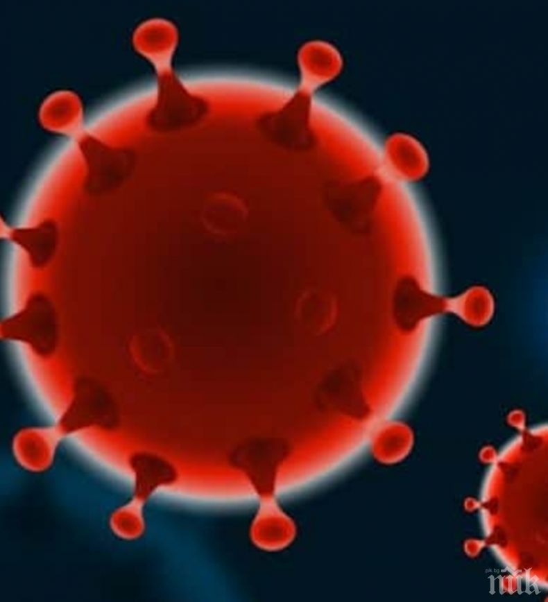 СЗО обяви хората на каква възраст допринасят най-много за разпространението на коронавируса