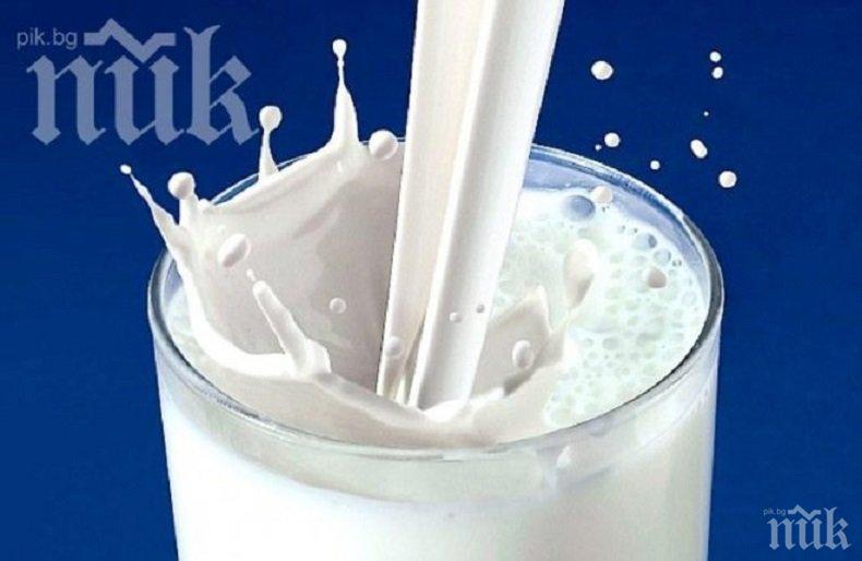 Пловдивчанка изгоря с 30 лева заради бутилка айрян