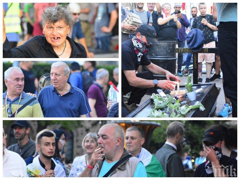 Бабикян, Румен Петков и Лупи сеят прокоби за смърт пред Министерски съвет! Събраха само клошари и жълти книжки (СНИМКИ)