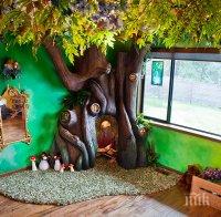 Стая на приказките отвориха в селско читалище