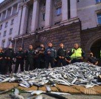 ГНЯВ В МРЕЖАТА! Гробовното трио на Румен Радев изсипа мъртва риба насред жълтите павета