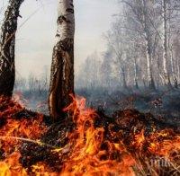 ВНИМАНИЕ: В 10 области на България има опасност от пожари 