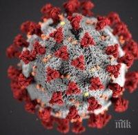 Испания ще използва армията за борба с коронавируса
