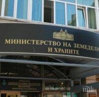 Министерството на земеделието пусна конспект за броене на фермите