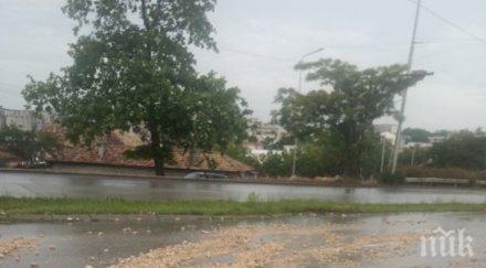 жълт код силни валежи вятър обявен половин българия карта