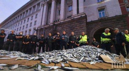 гняв мрежата гробовното трио румен радев изсипа мъртва риба насред жълтите павета