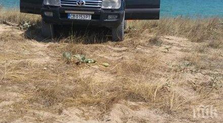 наглост нахални батки джипки газят дюните последния истински плаж черно море снимки