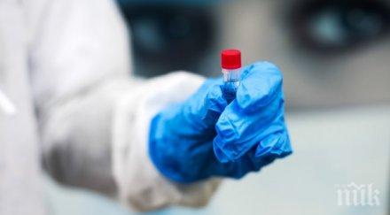 община лом отменя масовите мероприятия заради усложнена епидемична обстановка