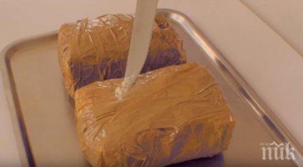 германската полиция залови близо два тона кокаин смес котешки тоалетни