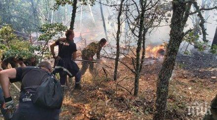 военни горски доброволци продължават борбата огнената стихия сакар планина снимки