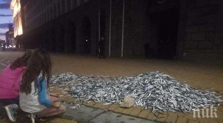 столичанка потресе снощната акция метежниците хора сте пощадете поне психиката децата