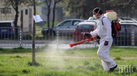 пръскат акари храстите търговище