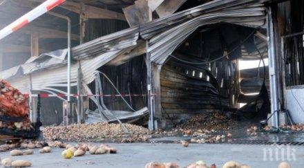 пореден пожар зеленчуковата борса село кърналово