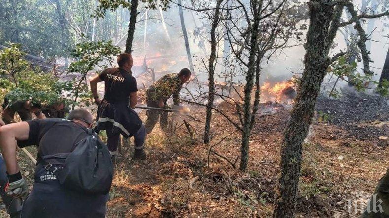 Военни, горски и доброволци продължават борбата с огнената стихия в Сакар планина (СНИМКИ)