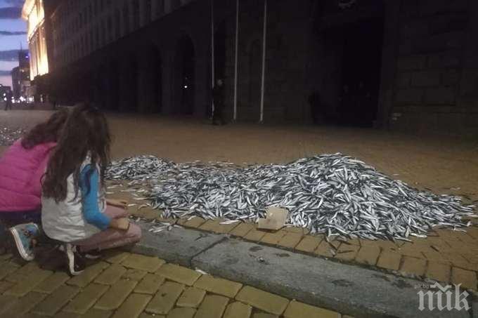 Столичанка се потресе след снощната акция на метежниците: Що за хора сте?! Пощадете поне психиката на децата