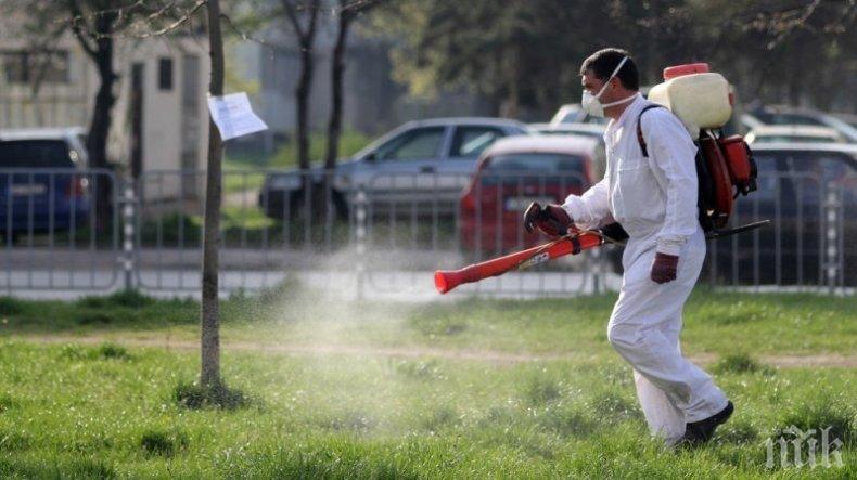 ДНЕС: Пръскат срещу акари храстите в Търговище