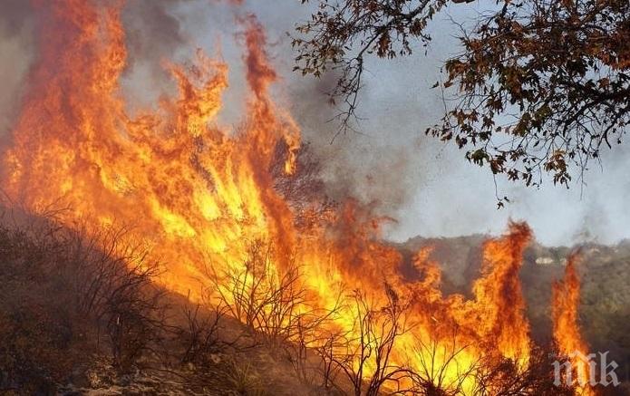 Пак пламна големият пожар в Старозагорско