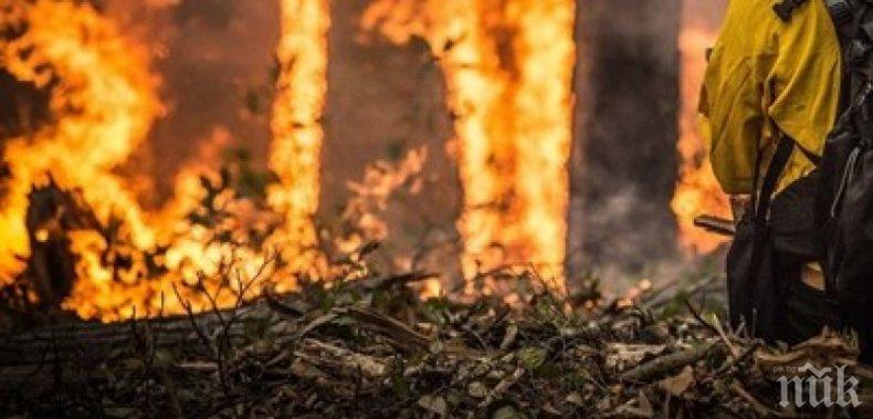 НИМХ алармира: Екстремна опасност от пожари в 9 области