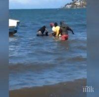 Рибари на Мавриций се опитват да спасят десетки делфини