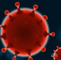 ПАНДЕМИЯТА СЕ ВИХРИ: Заразените с коронавирус по света надхвърлиха 24 милиона 