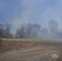 Опасен пожар лумна в пловдивския квартал „Тракия“, гори до склад за масла (СНИМКИ)