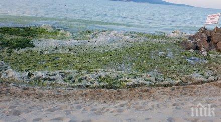 министерството туризма официална позиция замърсяването черноморието