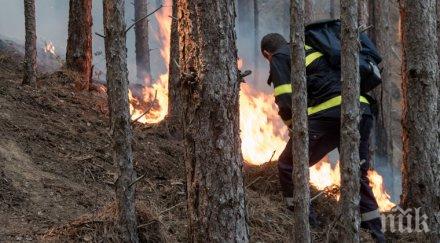гора пламна две родопски села пловдив