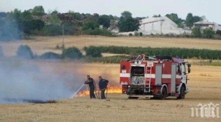 локализираха големия пожар димитровград