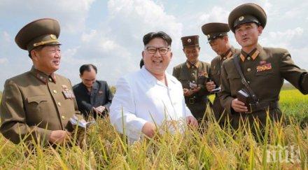 ким чен жив здрав първите снимки доста време кочан царевица ръка снимки