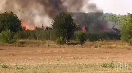 последните минути пожар лумна село димитровград