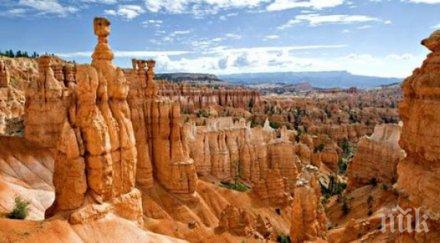 откриха следи оставени тайнствено животно 313 млн години