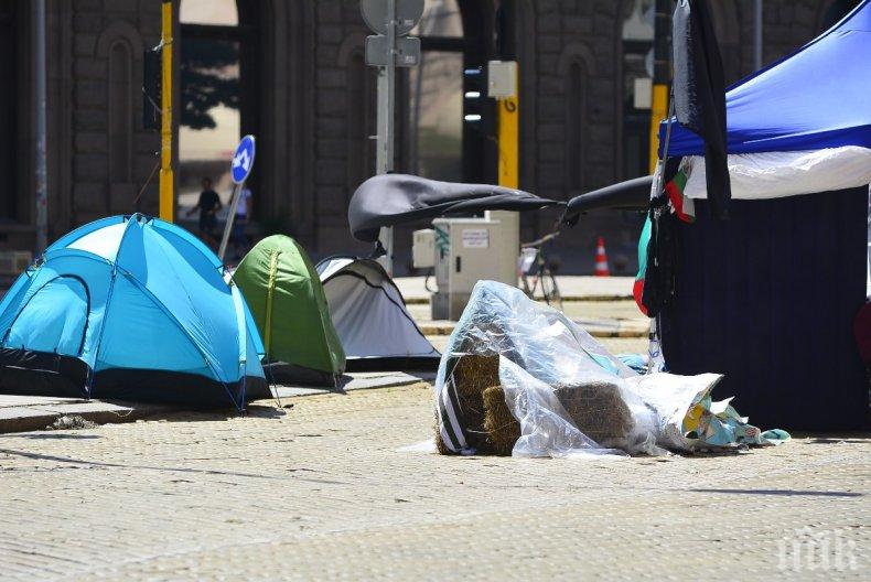 Столичанка показа мизерията на биваците - на “Орлов мост” опънаха плажни кърпи (СНИМКА)