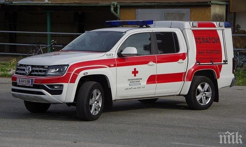 Паднало дърво при буря отне живота на трима души в Австрия