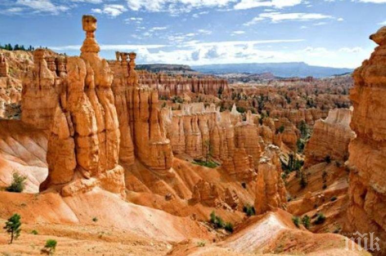 Откриха следи, оставени от тайнствено животно преди 313 млн. години