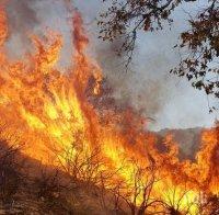 ПЪРВО В ПИК: Пламна гората над Карлово - огънят бушува на метри от къщи и вили (СНИМКА)