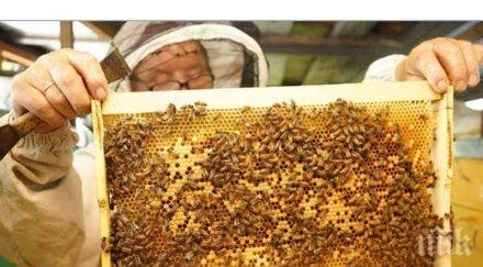 убива рака гърдата