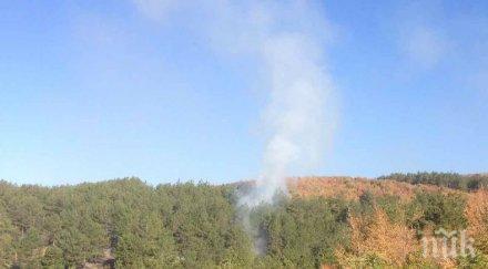 криминално проявен козар запалил гората сливен