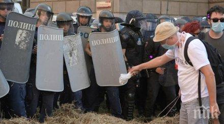 десислава атанасова запалиш слама горят полицаите мирен протест