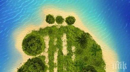 започват празниците изкуствата аполония созопол