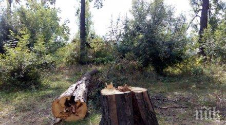 бракониери секат гора севлиево