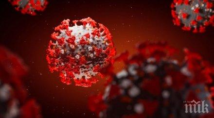 турция официално обяви втора вълна коронавируса