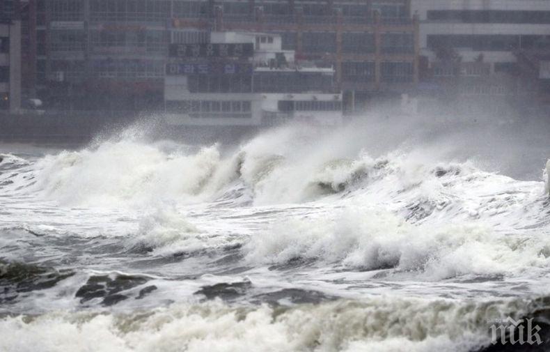 Близо 65 000 домове останаха без електрозахранване заради тайфун в Южна Корея