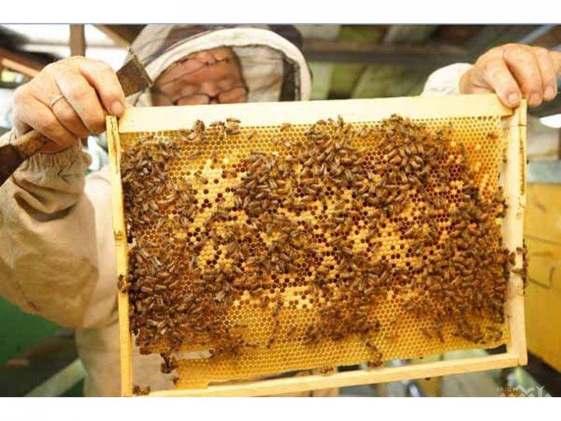 Ето какво убива рака на гърдата