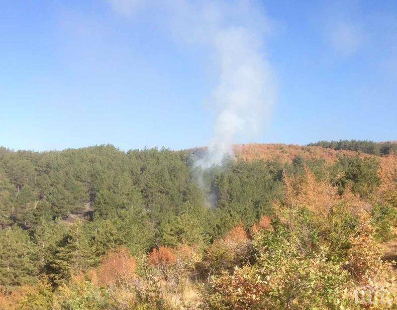 Криминално проявен козар запалил гората над Сливен