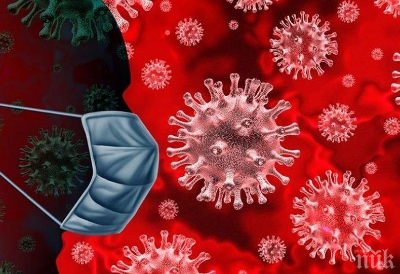 1 587 новозаразени с коронавируса в Турция за денонощие